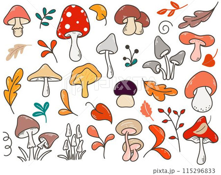 Hand drawn forest mushrooms, foliage and herbs set 115296833