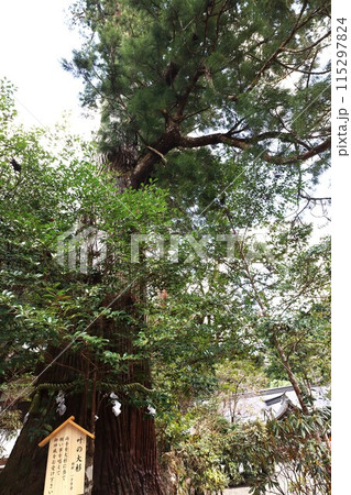 丹生川上神社中社 丹生川上神社中社 115297824