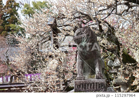 北野天満宮 北野天満宮 115297964