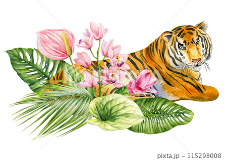 Tiger watercolor isolated on white background. Tiger and jungle flowers, palm leaves. Cute animal illustration. Wildlife 115298008
