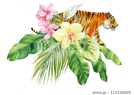 Tiger watercolor isolated on white background. Tiger and jungle flowers, palm leaves. Cute animal illustration. Wildlife 115298009