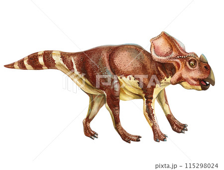 Realistic Triceratops dinosaur isolated white background. Hand painted watercolor dinosaurs illustration, Styracosaurs 115298024