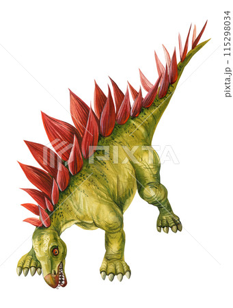 Realistic dinosaur isolated on white background. Stegosaurus hand painted watercolor dinosaur illustration. Dino clipart 115298034