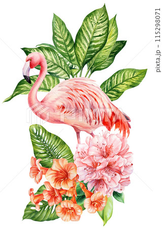 Cute Flamingo watercolor bird illustration, pink flamingo and tropical flowers, palm leaves isolated on white background Cute Flamingo watercolor bird illustration, pink flamingo and tropical flowers, palm leaves isolated on white background 115298071