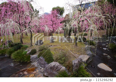 城南宮 城南宮 115298292