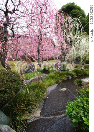 城南宮 城南宮 115298299