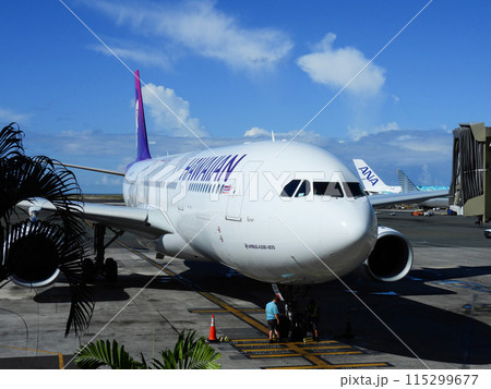 ホノルル空港で出発を待つ飛行機 115299677