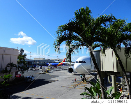ホノルル空港で出発を待つ飛行機 115299681