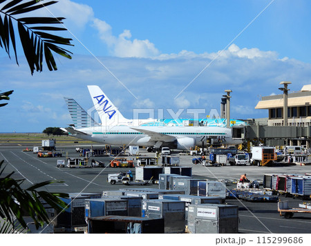 ホノルル空港で出発を待つ飛行機 115299686