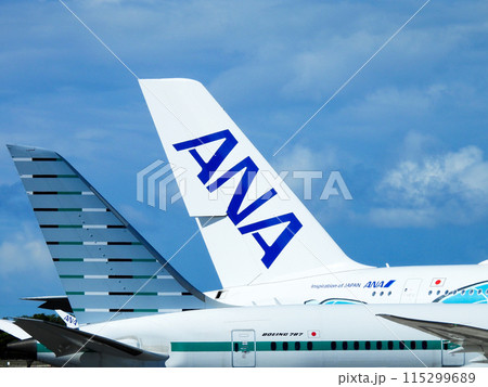 ホノルル空港で出発を待つ飛行機 115299689