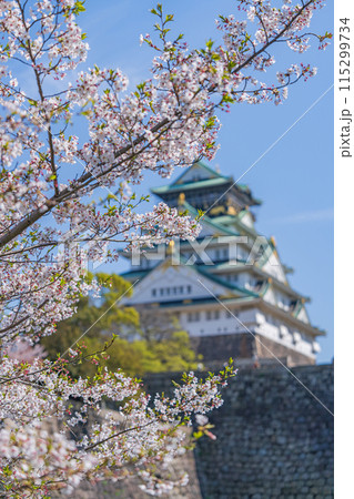 【春】大阪城公園の桜【大阪城天守閣】 【春】大阪城公園の桜【大阪城天守閣】 115299734