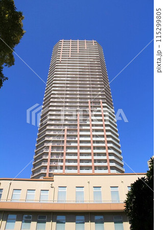 阿波座界隈の高層マンション 阿波座界隈の高層マンション 115299805