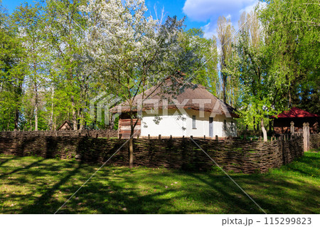 Ancient traditional ukrainian rural house  in Open air Museum of Folk Architecture and Folkways of Middle Naddnipryanschina in Pereyaslav, Ukraine 115299823