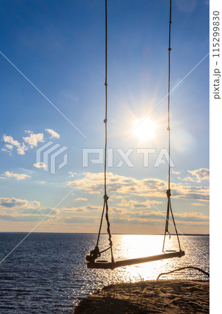 Rope swing on a shore of the Dnieper river in Ukraine 115299830