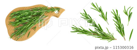 Rosemary twig and leaves on a wooden board isolated on white background Rosemary twig and leaves on a wooden board isolated on white background 115300316