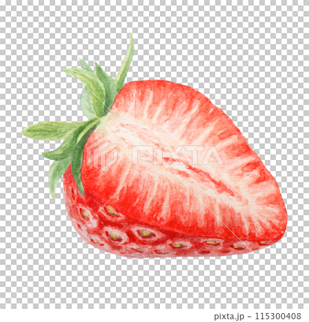 Red strawberry half, slice hand drawn watercolor illustration. Delicious food art, fresh botanical realistic painting. Summer berry clipart for cafe menu, packaging of farm goods, vegan products 115300408