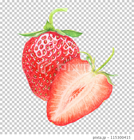 Red strawberry hand drawn watercolor illustration. Delicious food art, fresh botanical realistic painting. Summer sweet berry clipart for restaurant, cafe menu, packaging of farm goods, vegan products Red strawberry hand drawn watercolor illustration. Delicious food art, fresh botanical realistic painting. Summer sweet berry clipart for restaurant, cafe menu, packaging of farm goods, vegan products 115300415