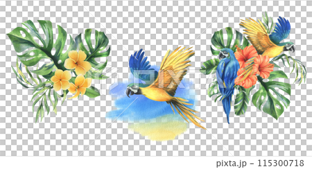Tropical palm leaves, monstera and flowers of plumeria, hibiscus, bright juicy with blue-yellow macaw parrot. Hand drawn watercolor botanical illustration. Set of elements isolated from background Tropical palm leaves, monstera and flowers of plumeria, hibiscus, bright juicy with blue-yellow macaw parrot. Hand drawn watercolor botanical illustration. Set of elements isolated from background 115300718