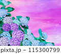 夕日の空に鮮やかに咲く淡い紫と青の紫陽花 115300799