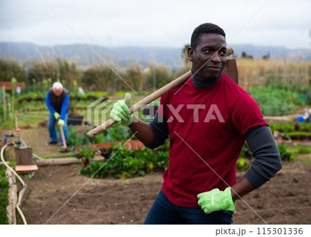 African american man horticulturist with mattock in garden 115301336