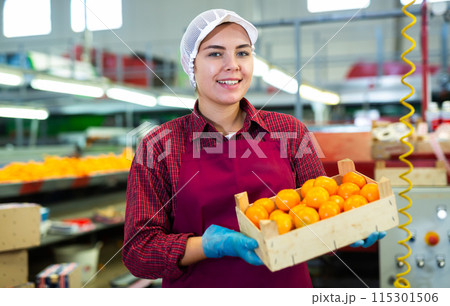 Glad positive female employee in colored uniforms hold a box of fresh ripe tangerines in their hands on citrus sorting line at warehouse. 115301506