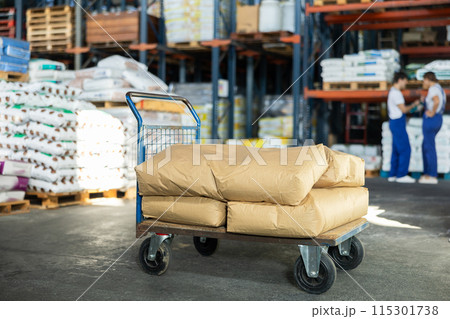Large cargo trolley stands in premises of store-warehouse of construction and repair materials. 115301738