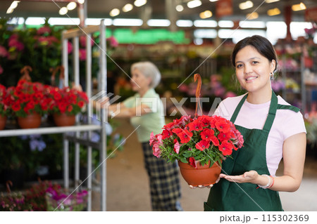 Middle-aged saleswoman holding petunia in flower-pot in open-air plants market Middle-aged saleswoman holding petunia in flower-pot in open-air plants market 115302369