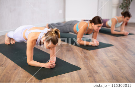 Yoga class of active young women standing in Dolphin Plank Pose or Makara Adho Mukha asana during training in gym studio Yoga class of active young women standing in Dolphin Plank Pose or Makara Adho Mukha asana during training in gym studio 115303013