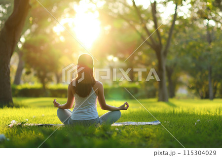 Tranquil Park Yoga: Embracing Spring Harmony Tranquil Park Yoga: Embracing Spring Harmony 115304029