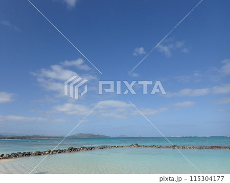 Pahonu Pond (Ancient Hawaiian Fishpond) 115304177