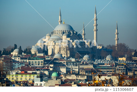 Istanbul cityscape overlooking Fatih district and Suleymaniye Mosque, Turkey 115306607