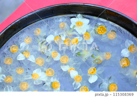 水鉢　スイセンの花 115308369