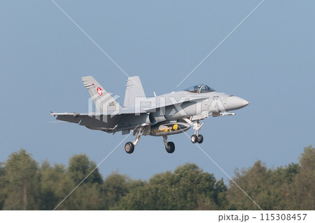 着陸するスイス空軍F/A-18Cホーネット 着陸するスイス空軍F/A-18Cホーネット 115308457