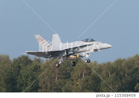 着陸するスイス空軍F/A-18Cホーネット 着陸するスイス空軍F/A-18Cホーネット 115308459