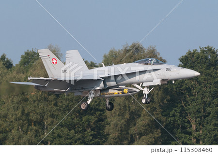 着陸するスイス空軍F/A-18Cホーネット 115308460