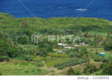 Aerial View of Small ocean side farm community Aerial View of Small ocean side farm community 115308542