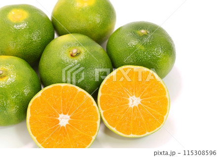 西浦みかん 早生 カット 断面 明るい背景 西浦みかん 早生 カット 断面 明るい背景 115308596