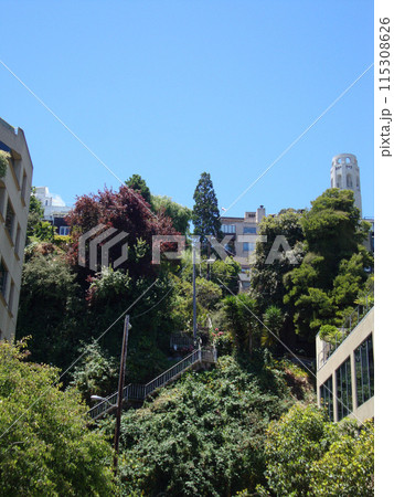 Staircase up Telegraph Hill leading up to Coit Tower 115308626