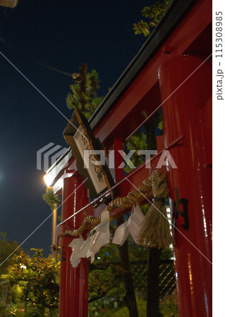 夜の鳥居 夜の鳥居 115308985