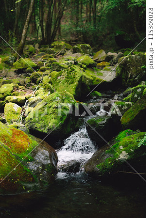 清流 清流 115309028