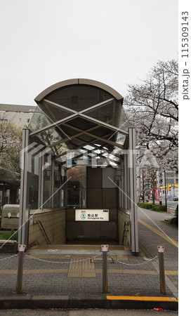 東京メトロ南北線の駒込駅4番出入口、さくら(ソメイヨシノ)が満開 東京メトロ南北線の駒込駅4番出入口、さくら(ソメイヨシノ)が満開 115309143