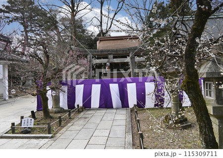 北野天満宮　梅花祭 115309711