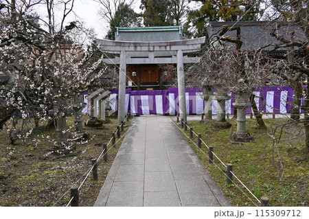 北野天満宮　梅花祭 115309712