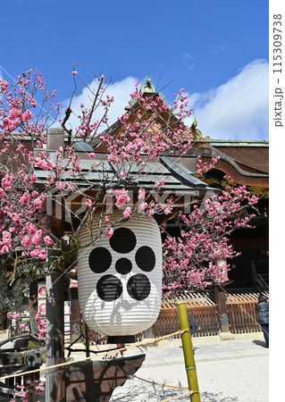 北野天満宮　梅花祭 115309738