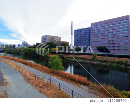白川(熊本県熊本市) 115309793
