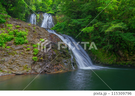 新緑の八汐滝 115309796