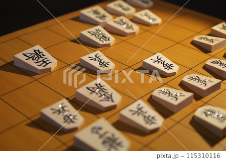 将棋（第9期叡王戦第3局投了棋譜） 115310116