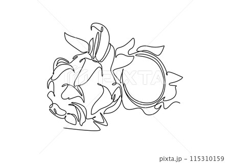 Continuous one line drawing whole and sliced sweet healthy organic dragon fruit for orchard logo identity. Fresh dragonfruit for fruit garden icon. Single line draw design vector graphic illustration 115310159