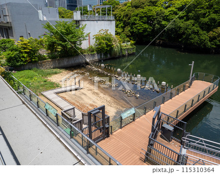 ウォーターズ竹芝に作られた人口の干潟【竹芝干潟】 115310364