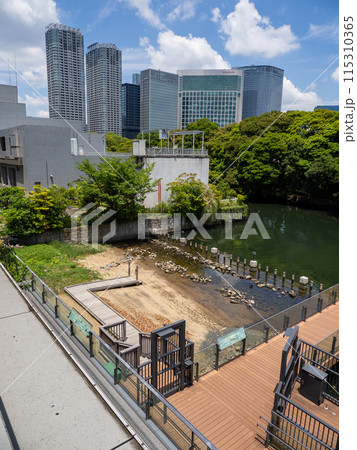 ウォーターズ竹芝に作られた人口の干潟【竹芝干潟】 115310365